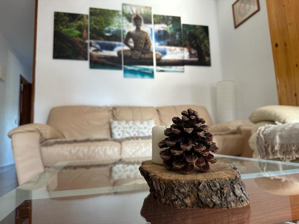 Apartamento Can Giru トルデラ エクステリア 写真